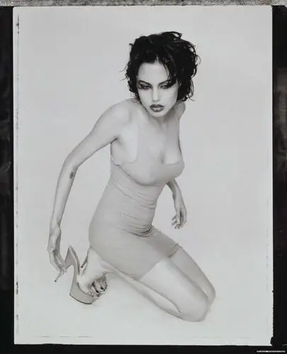 Angelina Jolie Fridge Magnet picture 59932