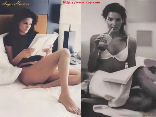 Angie Harmon Wall Poster picture 88733