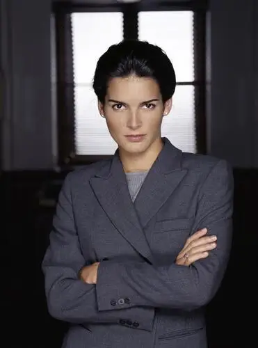 Angie Harmon Wall Poster picture 909775