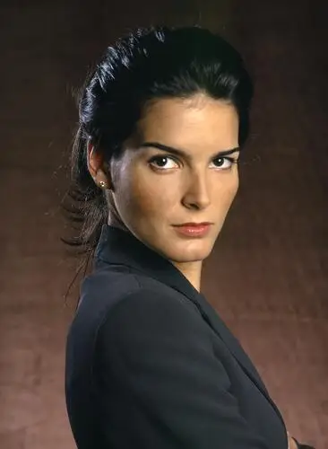 Angie Harmon Wall Poster picture 909781
