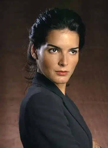 Angie Harmon Wall Poster picture 909784