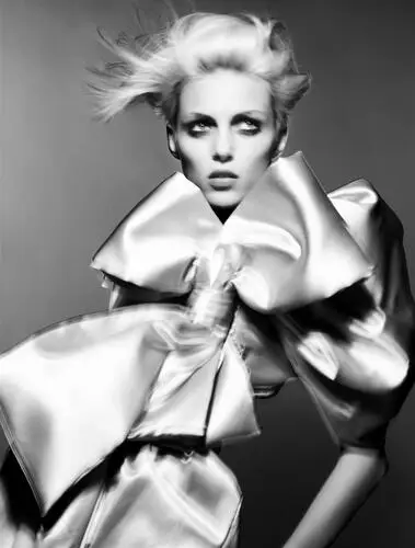 Anja Rubik Wall Poster picture 909863