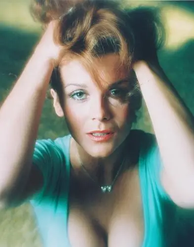 Ann-Margret Wall Poster picture 242433
