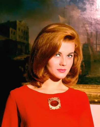 Ann-Margret Wall Poster picture 242434