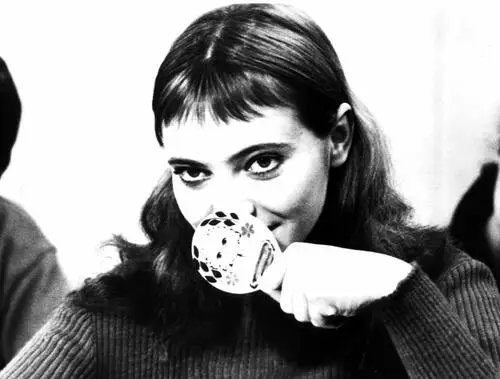 Anna Karina Wall Poster picture 215268
