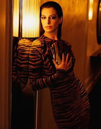 Anne Hathaway Wall Poster picture 1165345