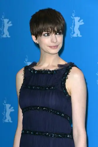 Anne Hathaway Wall Poster picture 228273
