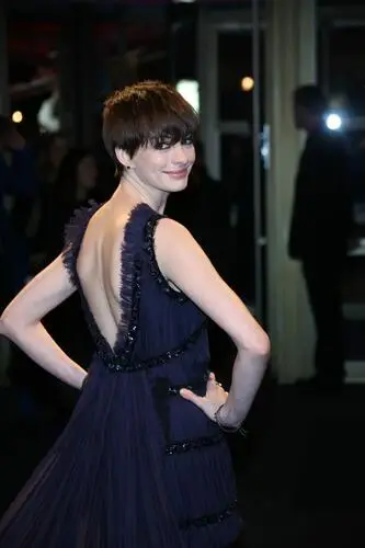 Anne Hathaway Wall Poster picture 228276
