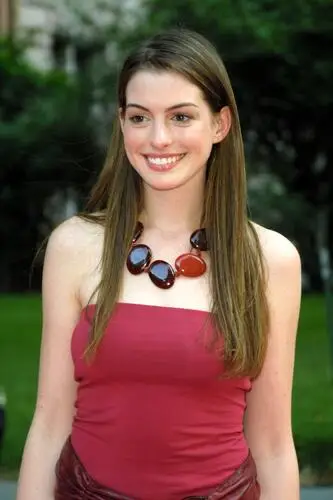 Anne Hathaway Wall Poster picture 28740