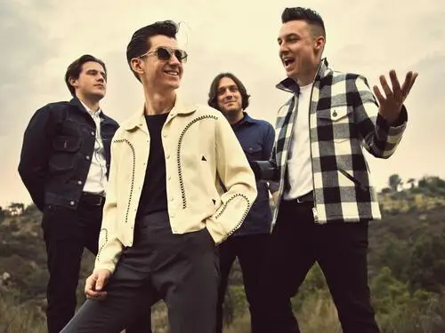 Arctic Monkeys Wall Poster picture 265609