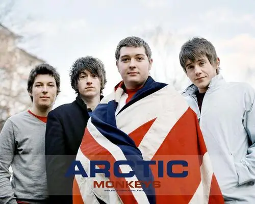 Arctic Monkeys Wall Poster picture 265635