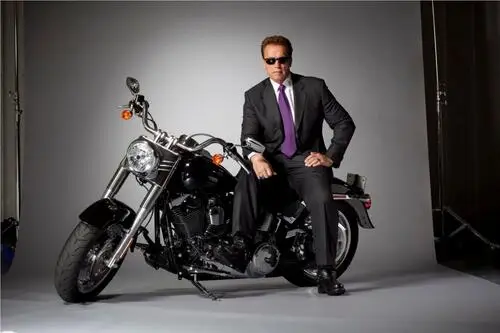 Arnold Schwarzenegger Wall Poster picture 155626