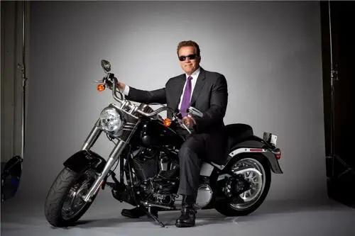 Arnold Schwarzenegger Wall Poster picture 155627