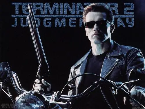 Arnold Schwarzenegger Wall Poster picture 94568