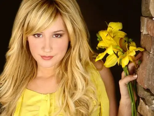 Ashley Tisdale Wall Poster picture 113537