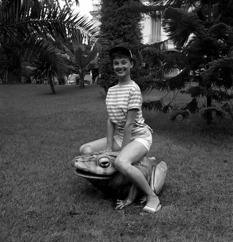 Audrey Hepburn Fridge Magnet picture 242888