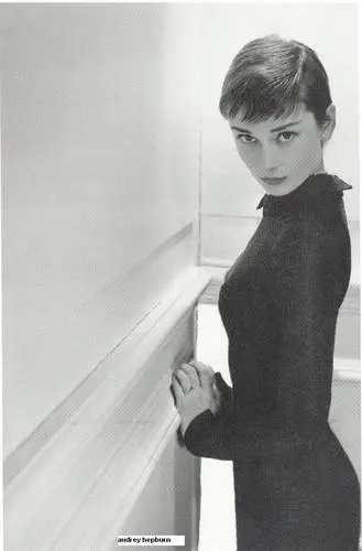 Audrey Hepburn Wall Poster picture 66338
