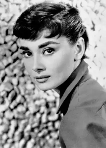 Audrey Hepburn Fridge Magnet picture 80013