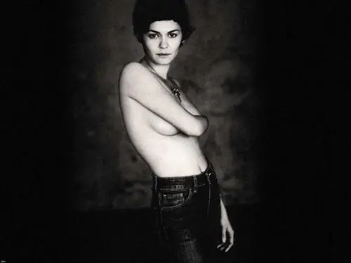Audrey Tautou Wall Poster picture 127879