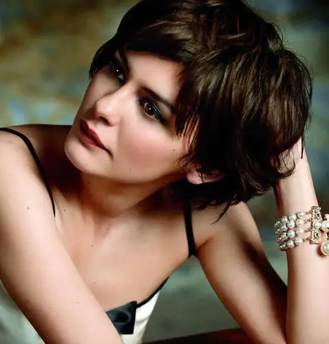 Audrey Tautou Wall Poster picture 304098
