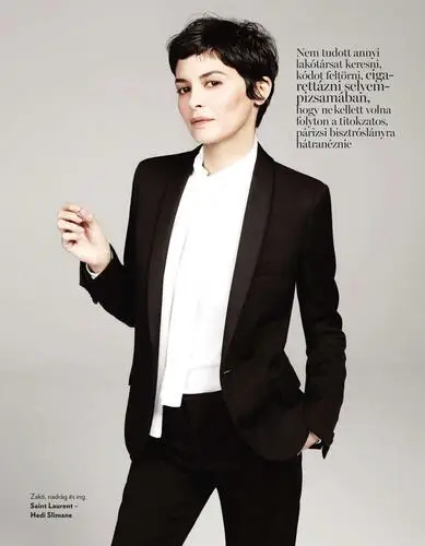 Audrey Tautou Wall Poster picture 561413