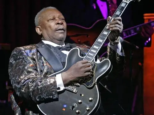 B.B. King Jigsaw Puzzle picture 678824