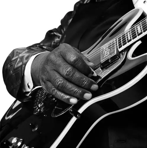 B.B. King Jigsaw Puzzle picture 911738