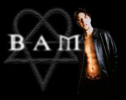 Bam Margera Wall Poster picture 94640