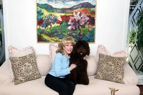 Barbara Eden Wall Poster picture 567022