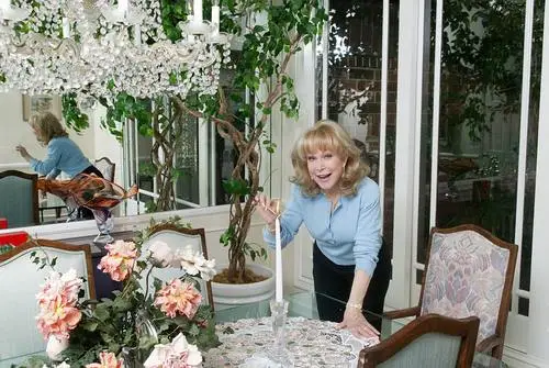 Barbara Eden Wall Poster picture 567029