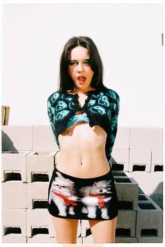 Bea Miller Wall Poster picture 1044665