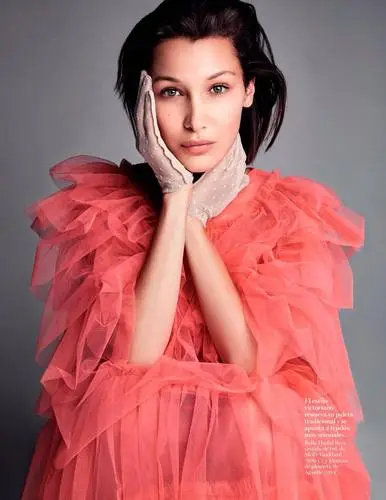 Bella Hadid Wall Poster picture 706843