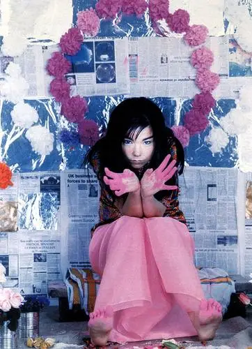 Bjork Wall Poster picture 29785