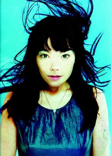 Bjork Wall Poster picture 3414