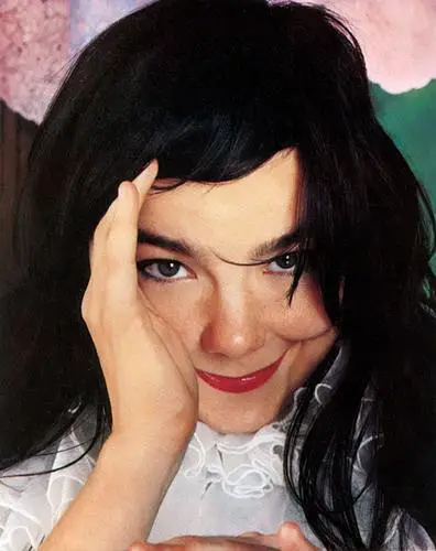 Bjork Wall Poster picture 3419