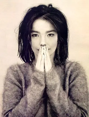 Bjork Wall Poster picture 3422