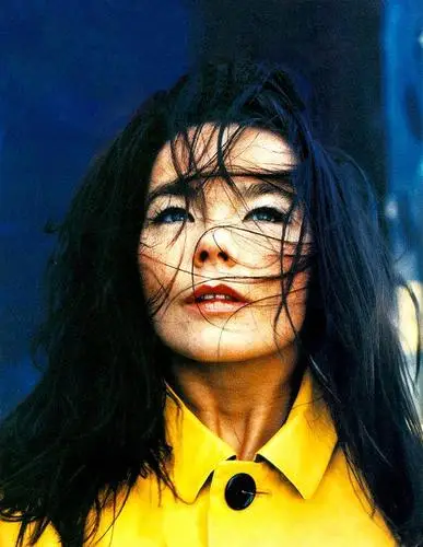 Bjork Wall Poster picture 3423