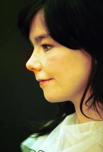 Bjork Wall Poster picture 346762