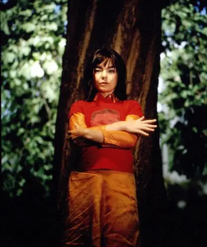 Bjork Wall Poster picture 575111