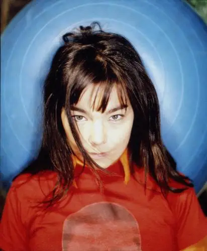 Bjork Wall Poster picture 575113