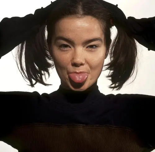 Bjork Wall Poster picture 63037