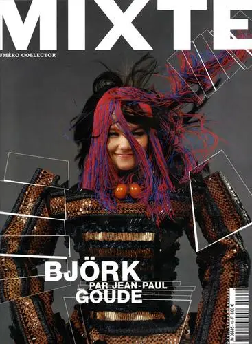 Bjork Wall Poster picture 63052