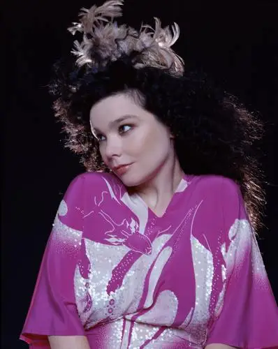 Bjork Wall Poster picture 63055