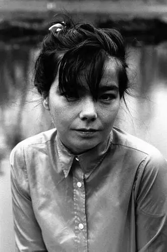 Bjork Wall Poster picture 70197