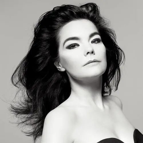 Bjork Wall Poster picture 78521