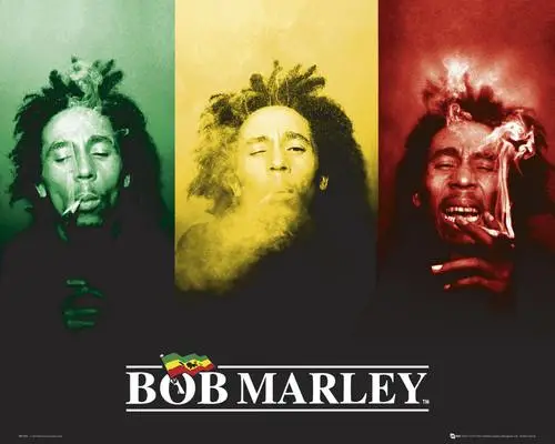 Bob Marley Fridge Magnet picture 156351