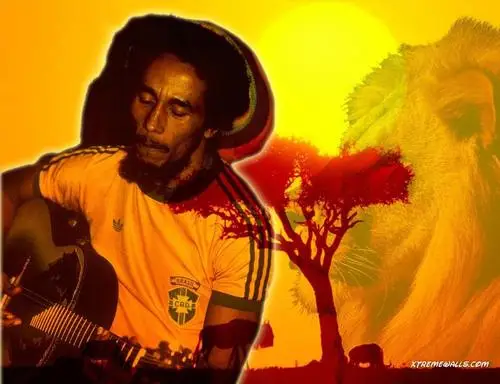 Bob Marley Fridge Magnet picture 156360