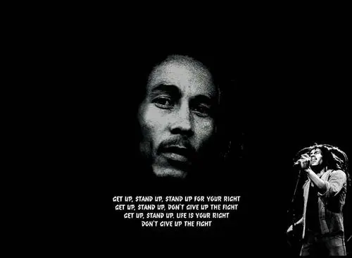Bob Marley Fridge Magnet picture 156378