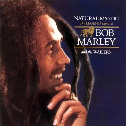 Bob Marley Fridge Magnet picture 156387