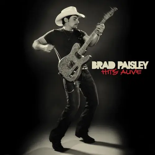 Brad Paisley Jigsaw Puzzle picture 109871